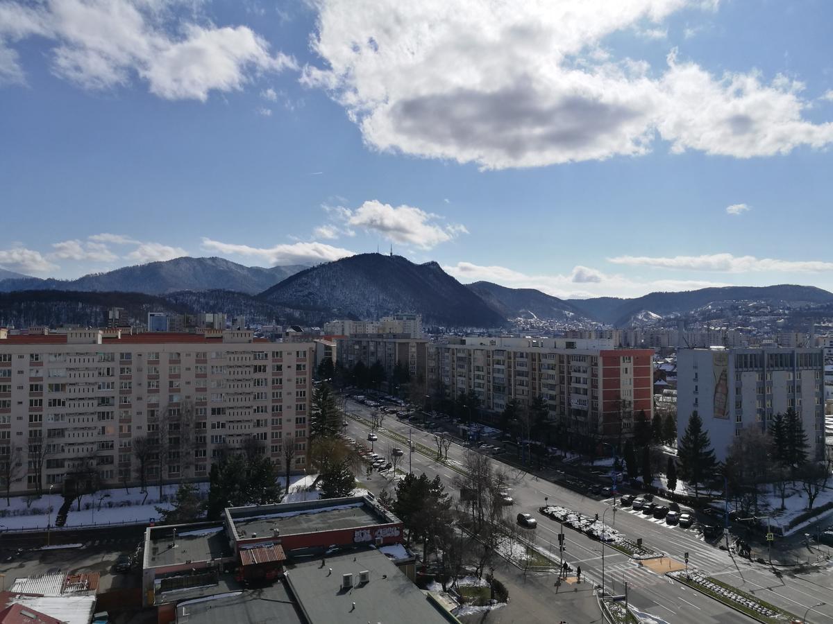 Excentric Studio 1 Брашов Экстерьер фото